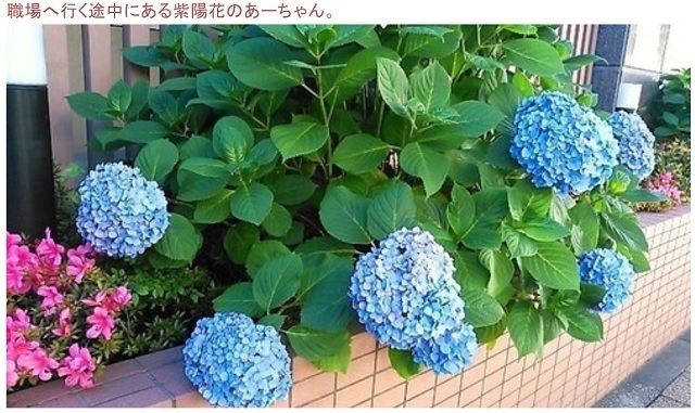 20150605.jpg