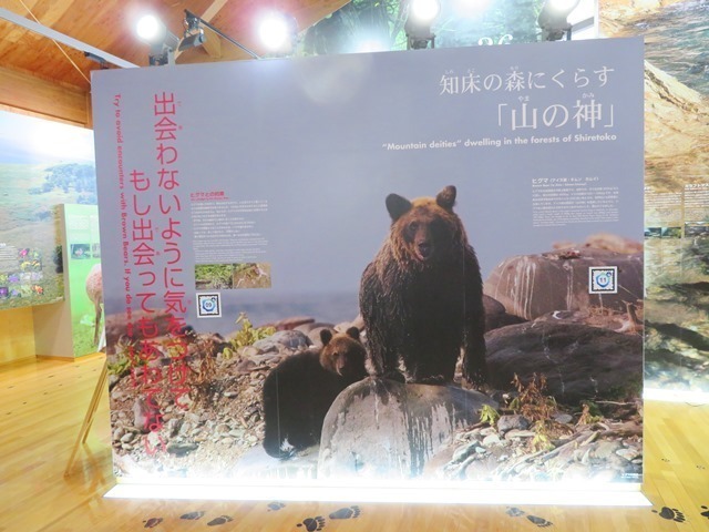2018081103.jpg