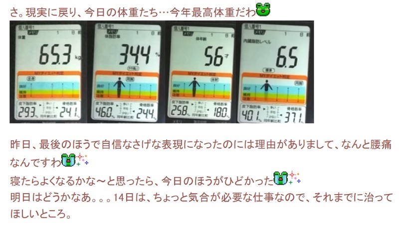 20190204体重たち.jpg