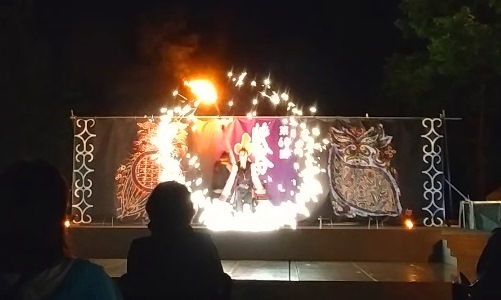 20220811峡谷火まつり9.jpg