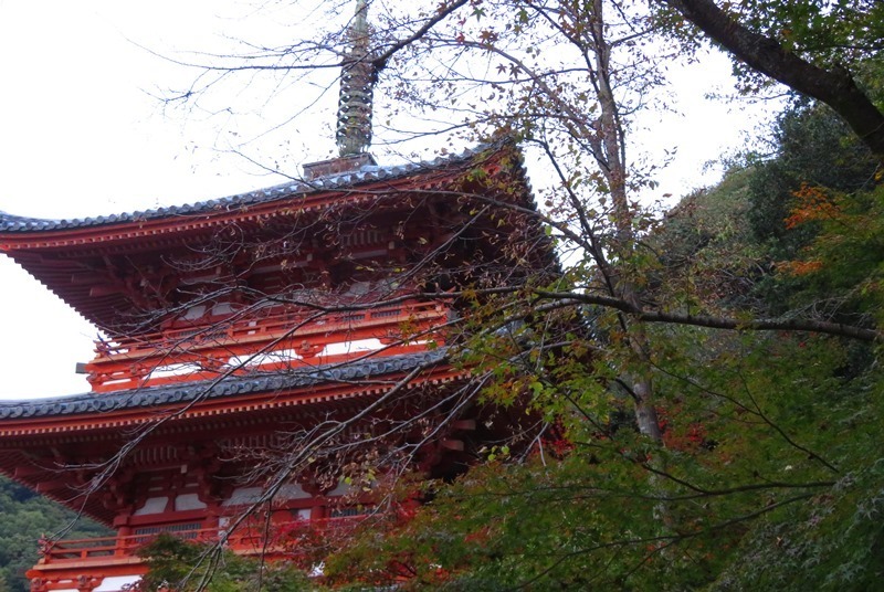 20221118清水寺.JPG