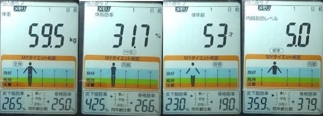 20230101の体重たち.jpg