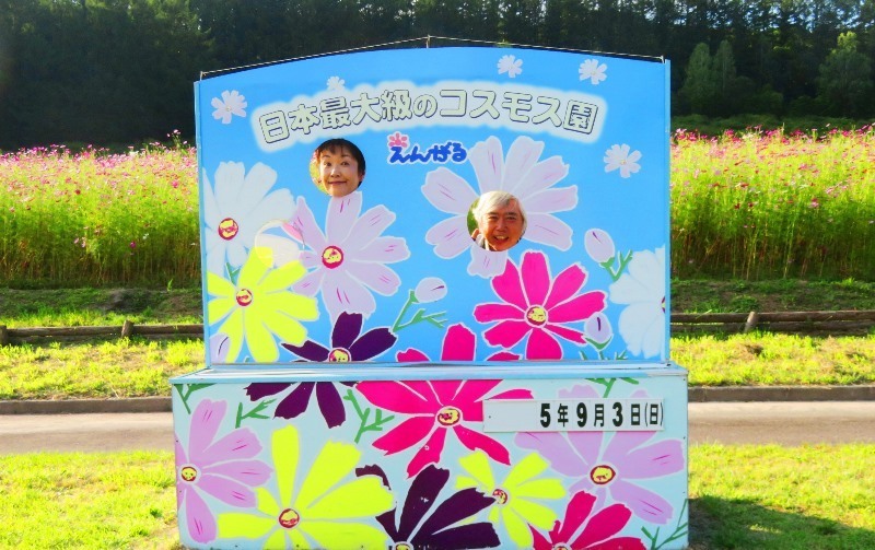 20230903遠軽コスモスフェスタ (9).JPG