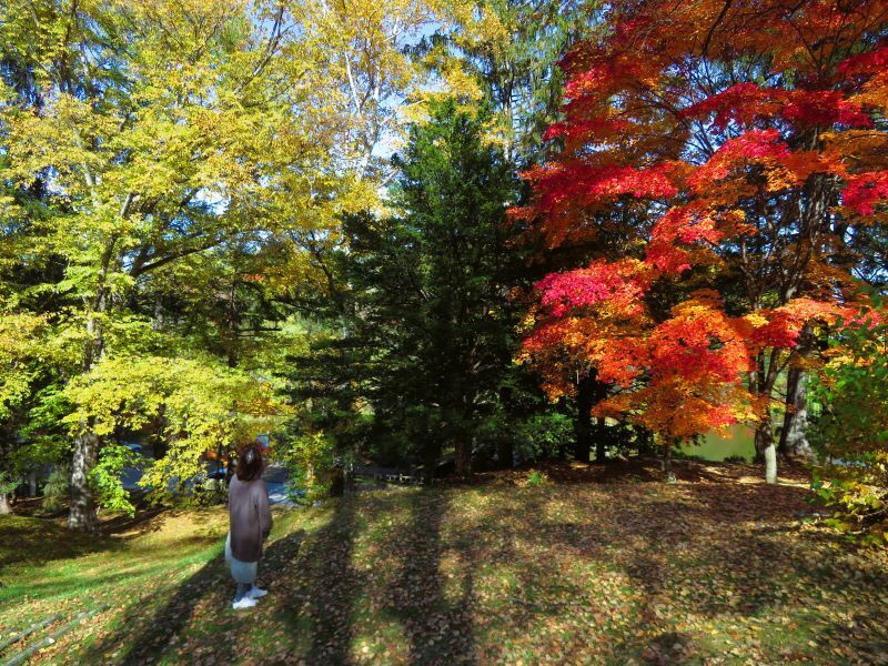 20231026野付牛公園 (1).JPG
