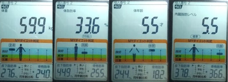 20231027体重たち.png