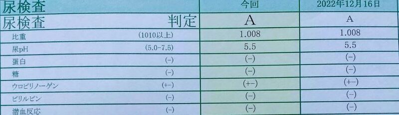 20231109尿検査.JPG