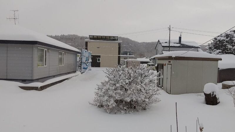 20240123雪がたくさん (2).JPG