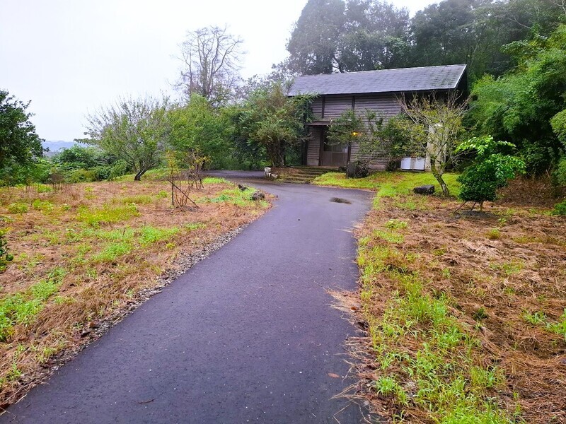 20241004_065148.jpg