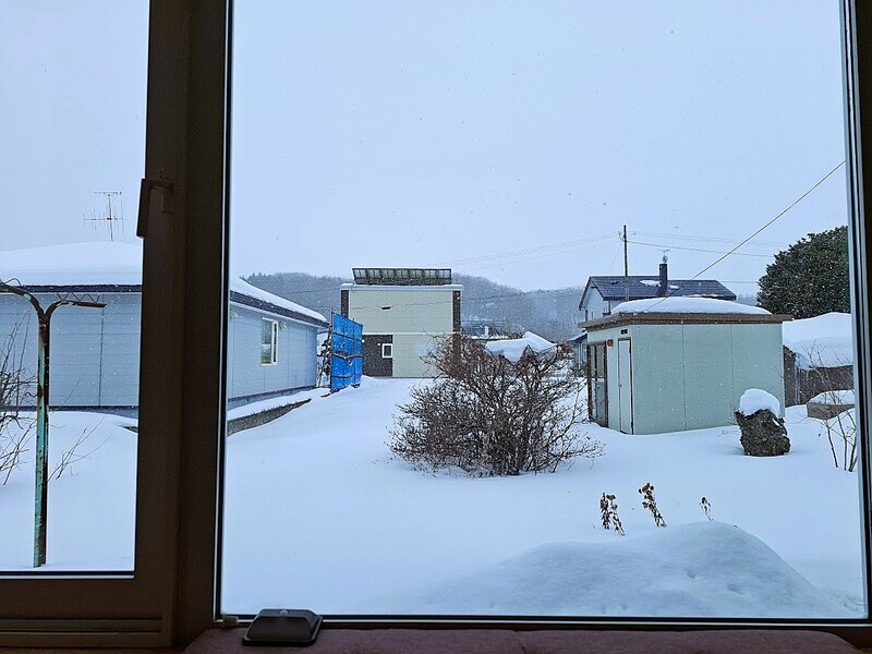 20250220_125311.jpg