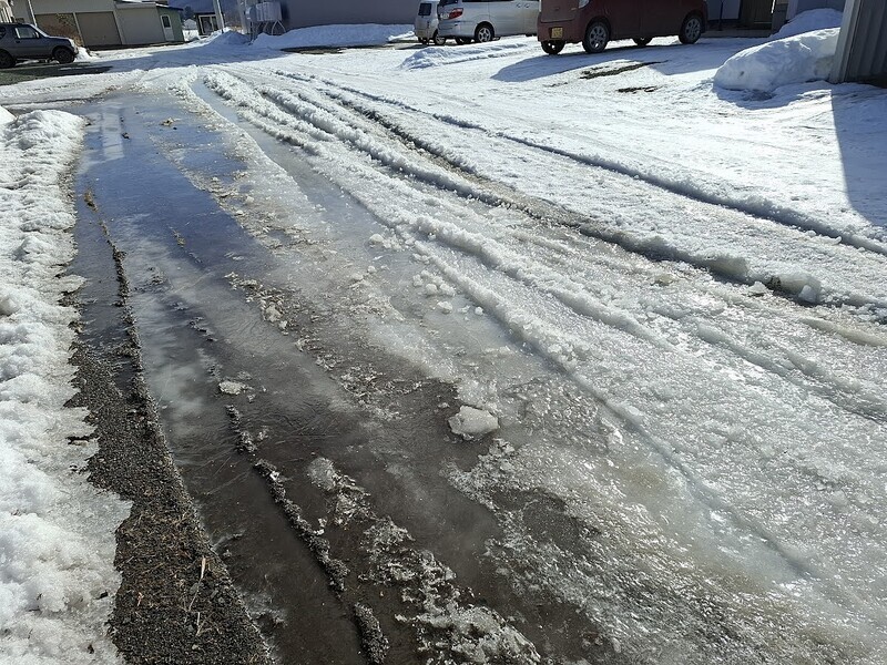 20250303_091342.jpg