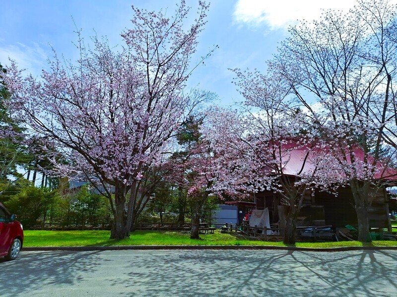 20250506_085444.jpg