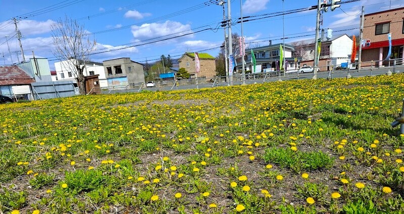 20250506_090100.jpg