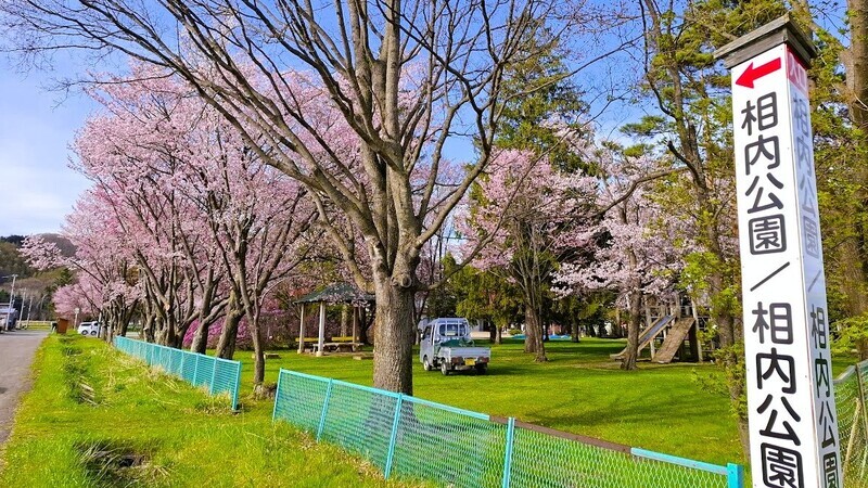 20250507_152723.jpg