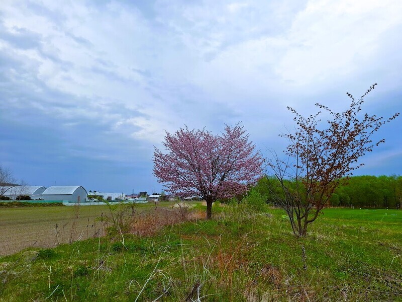20250513_155017.jpg