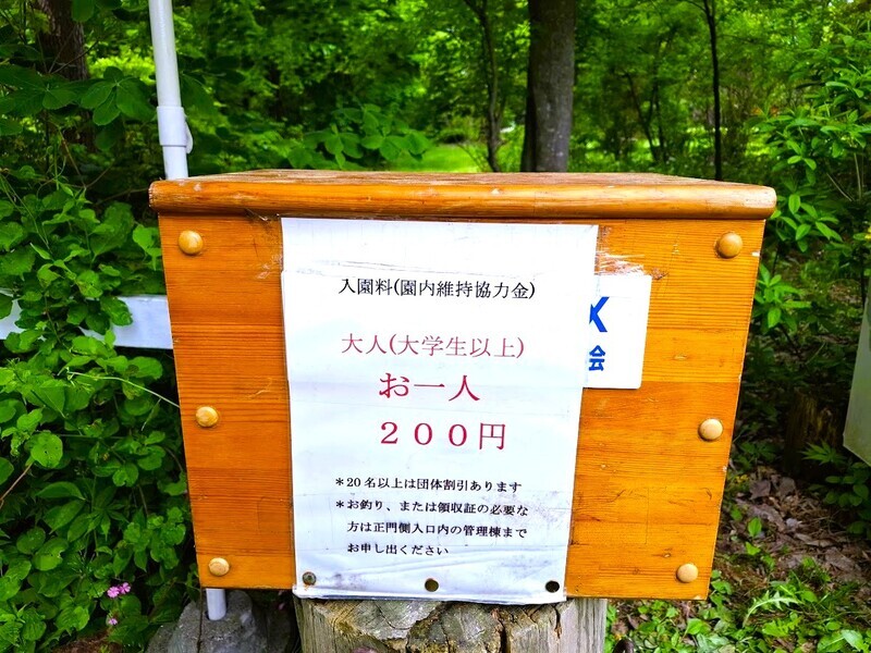 20250607_102636.jpg