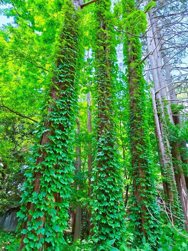 20250607_110615.jpg