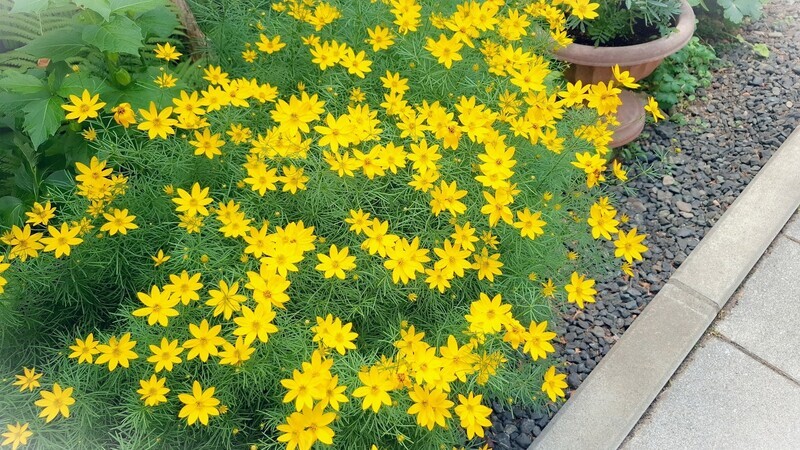 20250706_122548.jpg