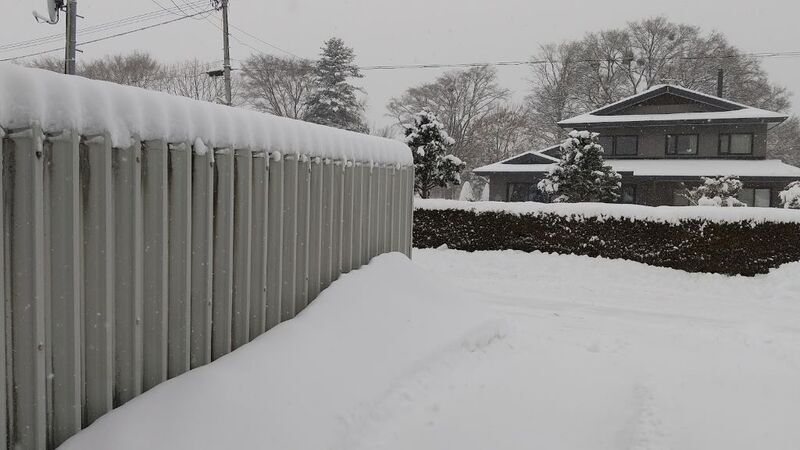 DSC_0256.JPG