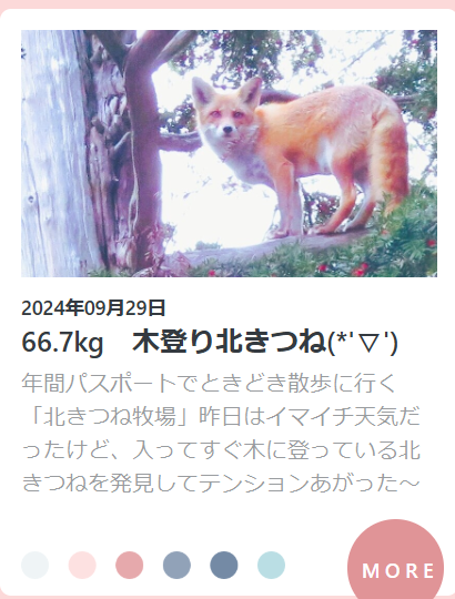スクリーンショット 2025-03-13 092026.png