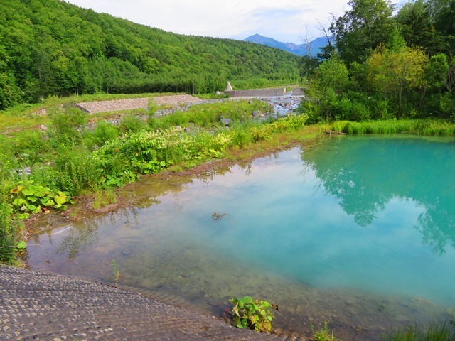 IMG_4573.JPG