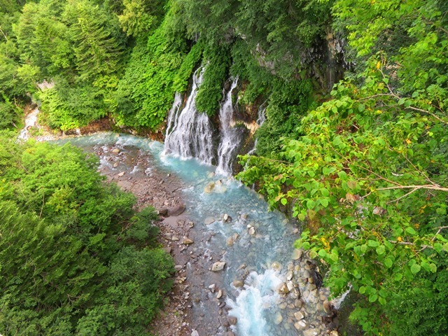 IMG_4598.JPG