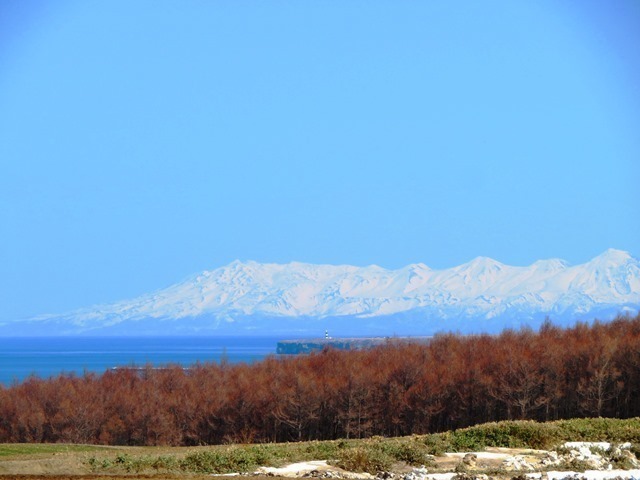 IMG_6483.jpg