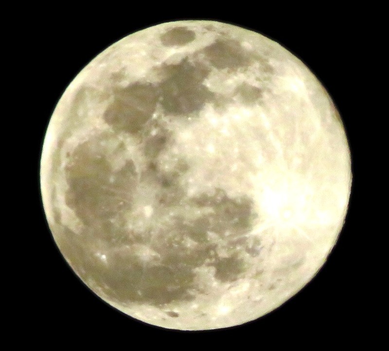 IMG_6657.JPG