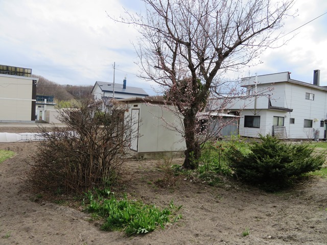 IMG_7076.JPG