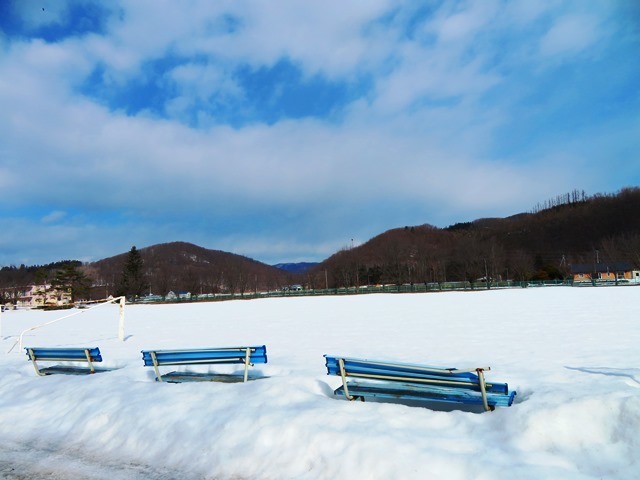 IMG_7403.JPG