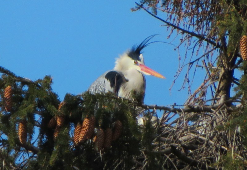 IMG_7478.JPG