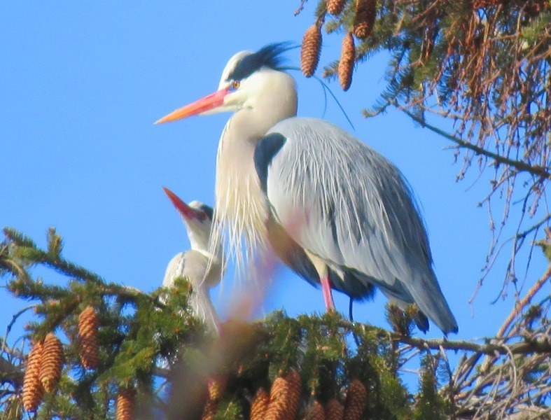 IMG_7496.JPG