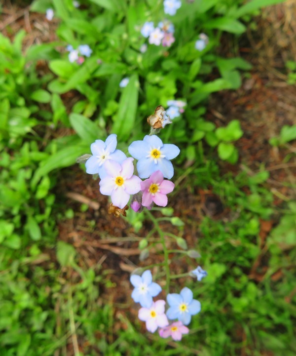 IMG_8647.JPG