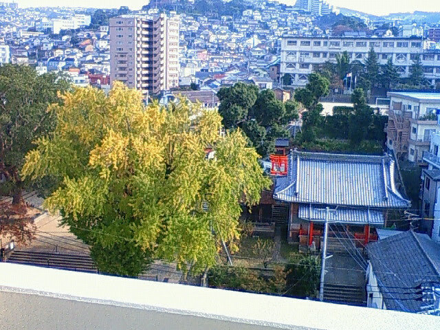 NEC_0881.JPG
